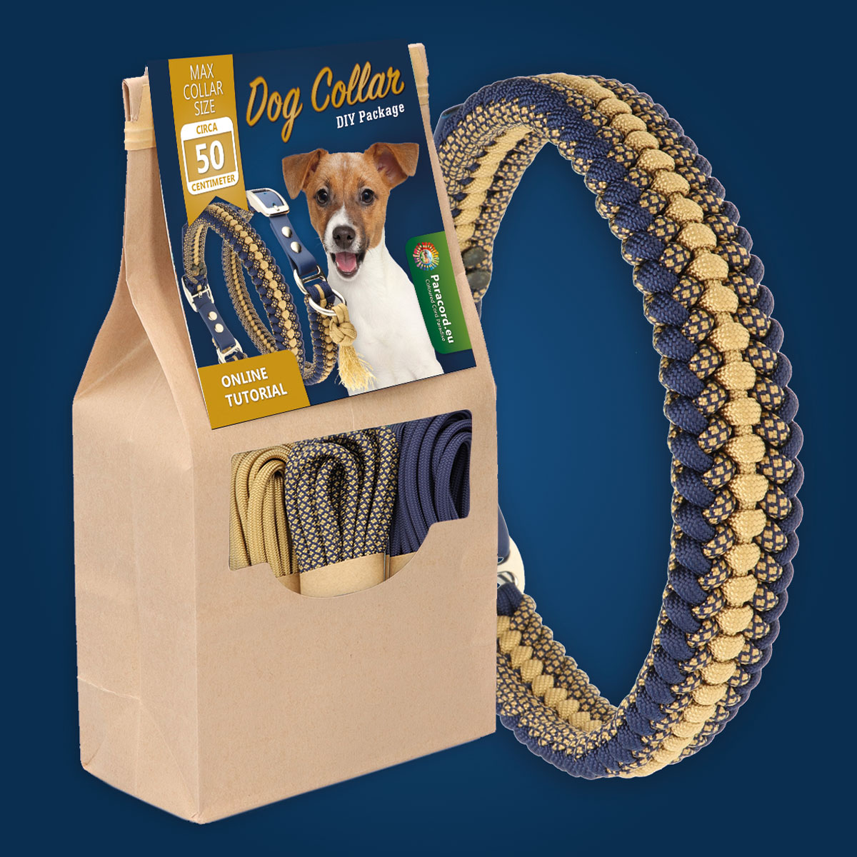 DIY Set Paracord Hundehalsband | Halsband selber machen