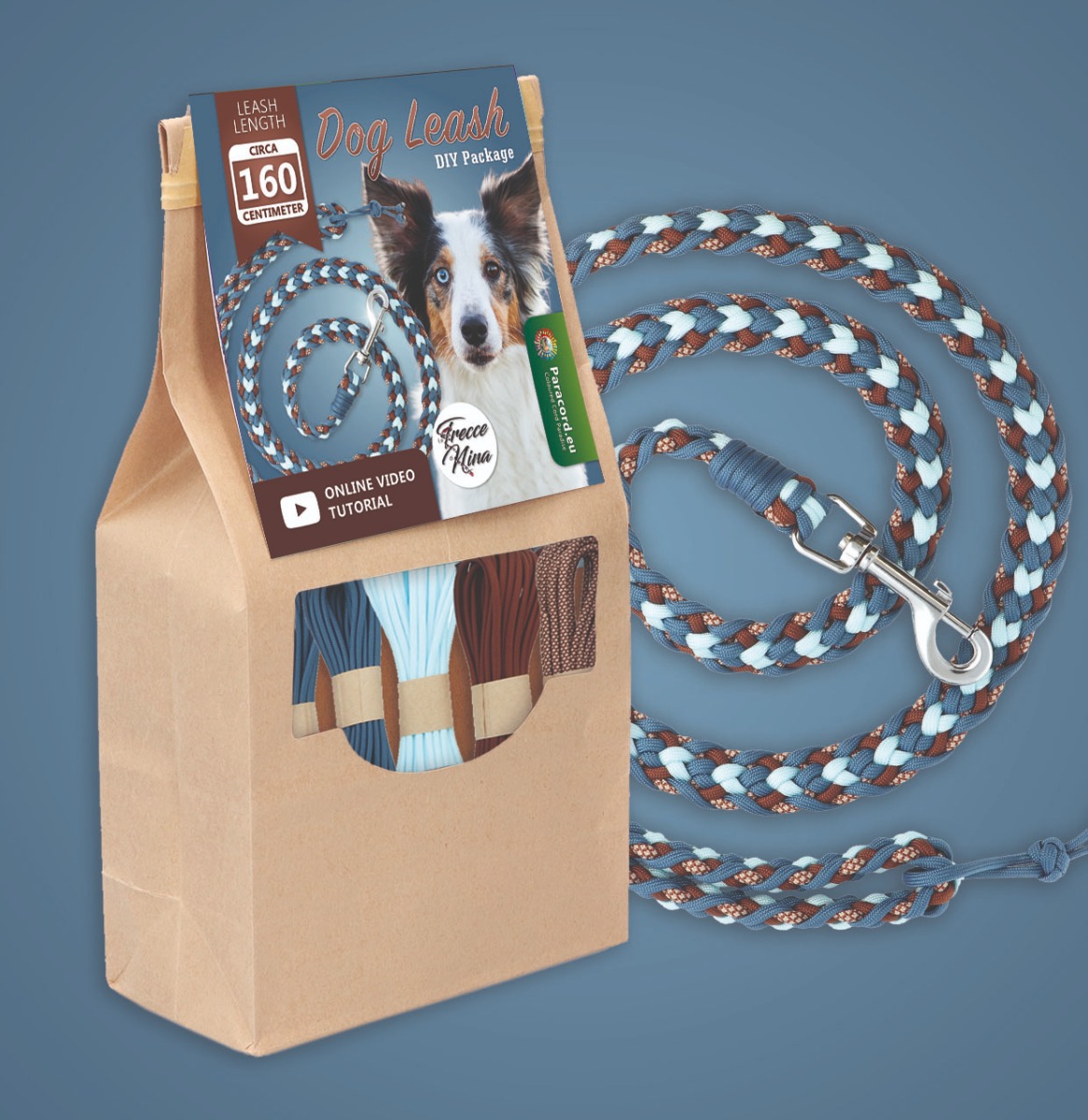 DIY Set Paracord Hundeleine | Hundeleine selber machen