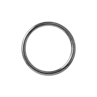 Vernickelt 20 x 4 mm O-Ring Vernickelt 20 x 4 mm O-Ring