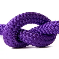 Acid Violet 14 mm Seil - PPM Doppelgeflecht Acid Violet 14 mm Seil - PPM Doppelgeflecht